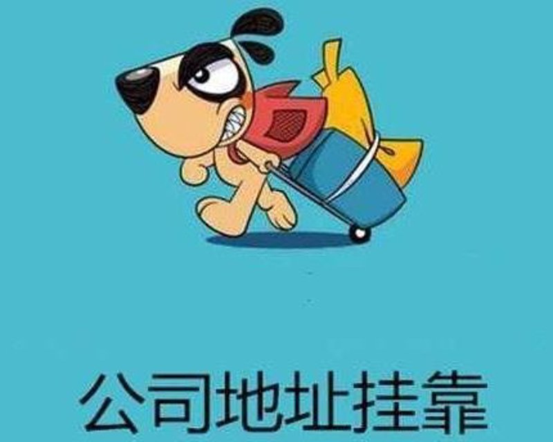 深圳市伞螺旋创业服务有限公司为您解析财税服务公司的经营范围，帮助您了解行业现状与未来趋势。